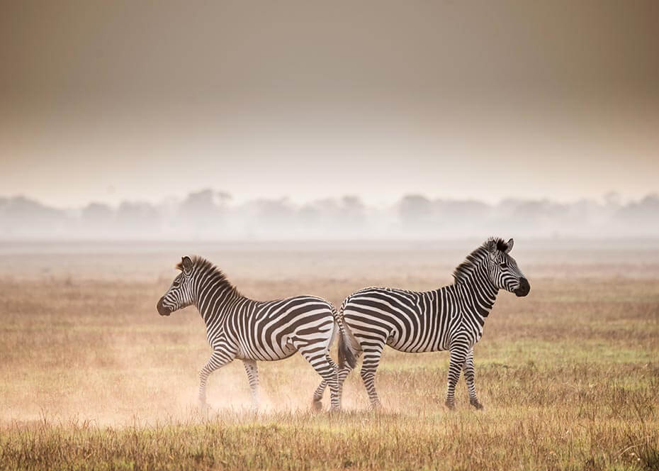 Kafue National Park